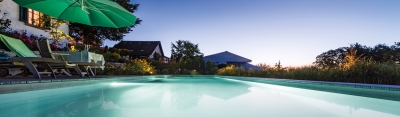 Zebra AG Garten & Pool | Gartenbau & Naturpools im Aargau