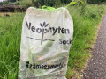 Entsorgungstag Neophyten 