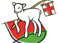 Ratsnachrichten